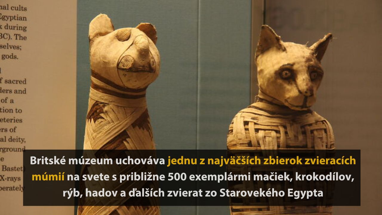 6 vzácnych historických exponátov zo sveta, ktoré Britské múzeum odmieta vrátiť pôvodným krajinám, 2.časť