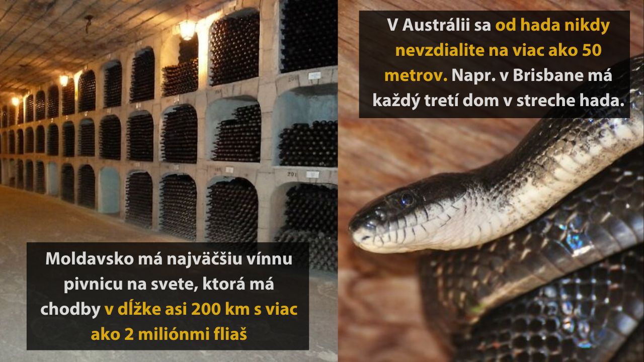 6 neuveriteľných faktov z rôznych krajín sveta, 5. časť