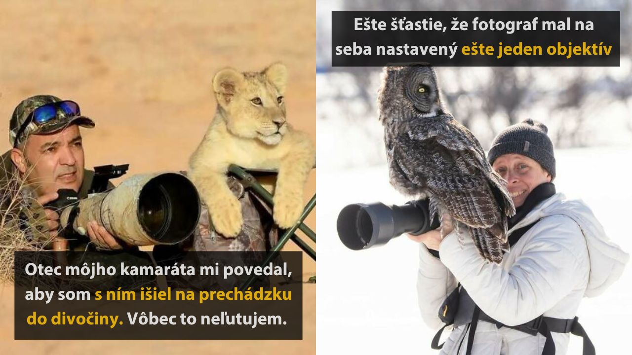 10 vtipných fotografií z divokej prírody, ktoré vás pobavia. 1.časť