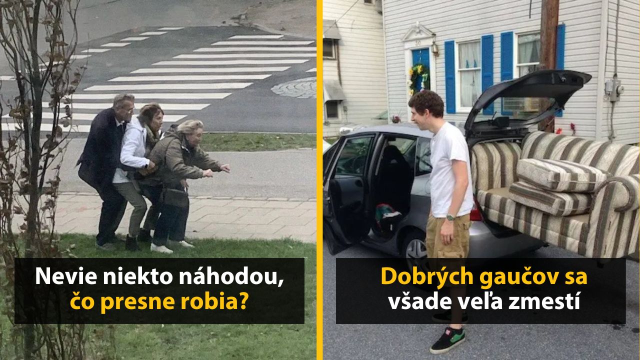 30+ Obrázkov, ktorými dokonale zabiješ čas #589 –   Sova v hromadnej doprave alebo kosenie pre pokročilých