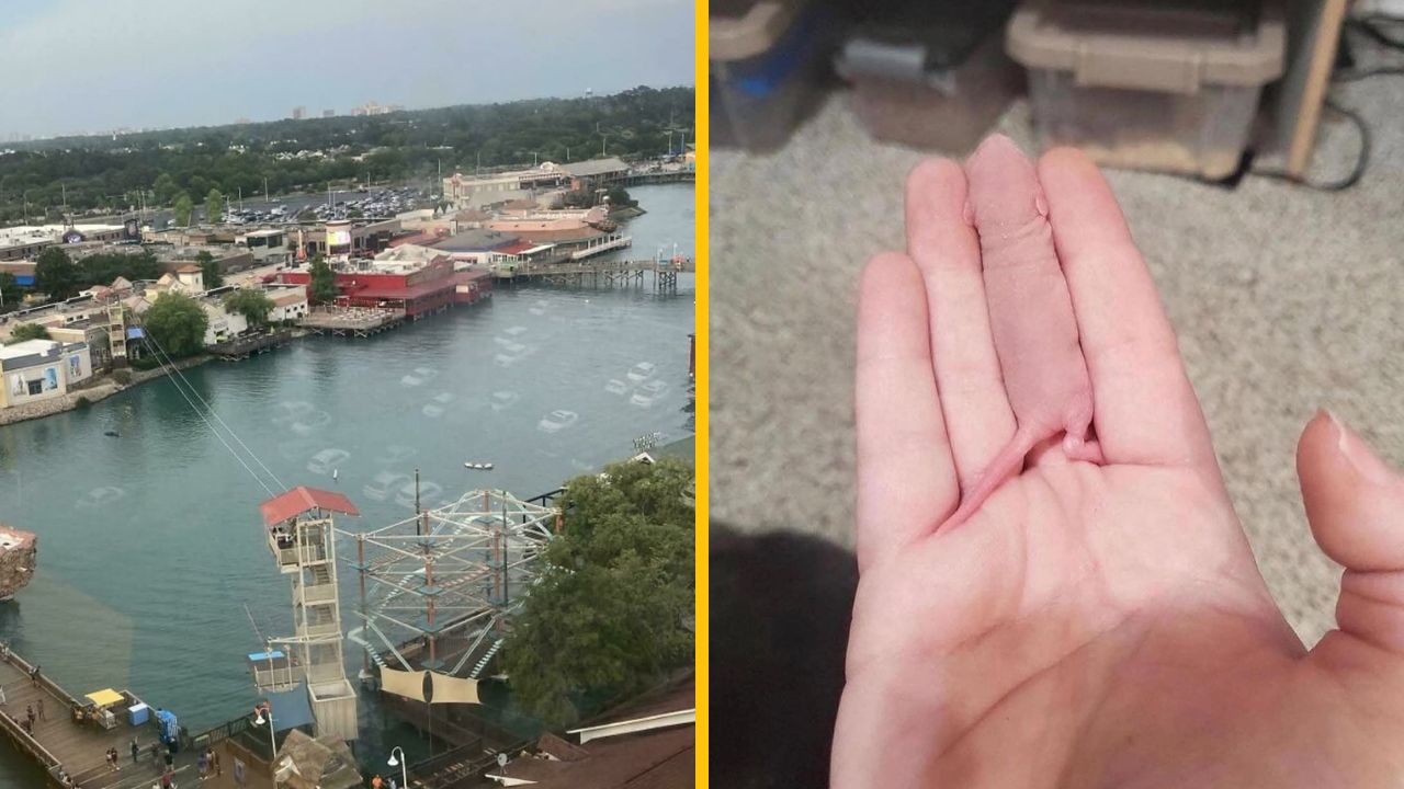 10 vtipných fotiek, s ktorými už na 1. pohľad nie je niečo v poriadku #5