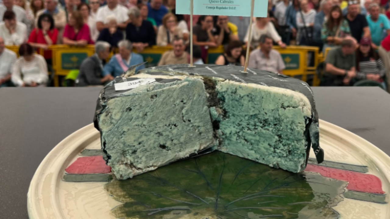 Pozrite, za akú horibilnú sumu sa predal najdrahší syr na svete