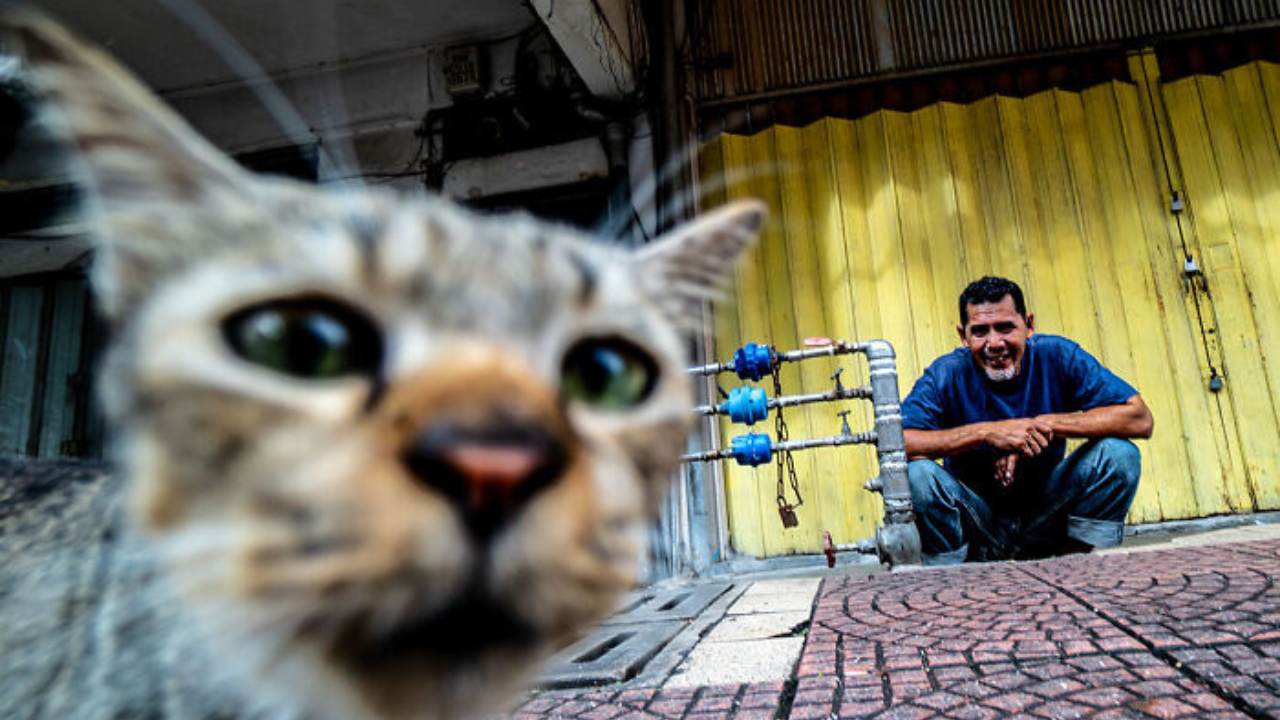 10 pouličných fotografií, ktoré zachytávajú jedinečné okamihy