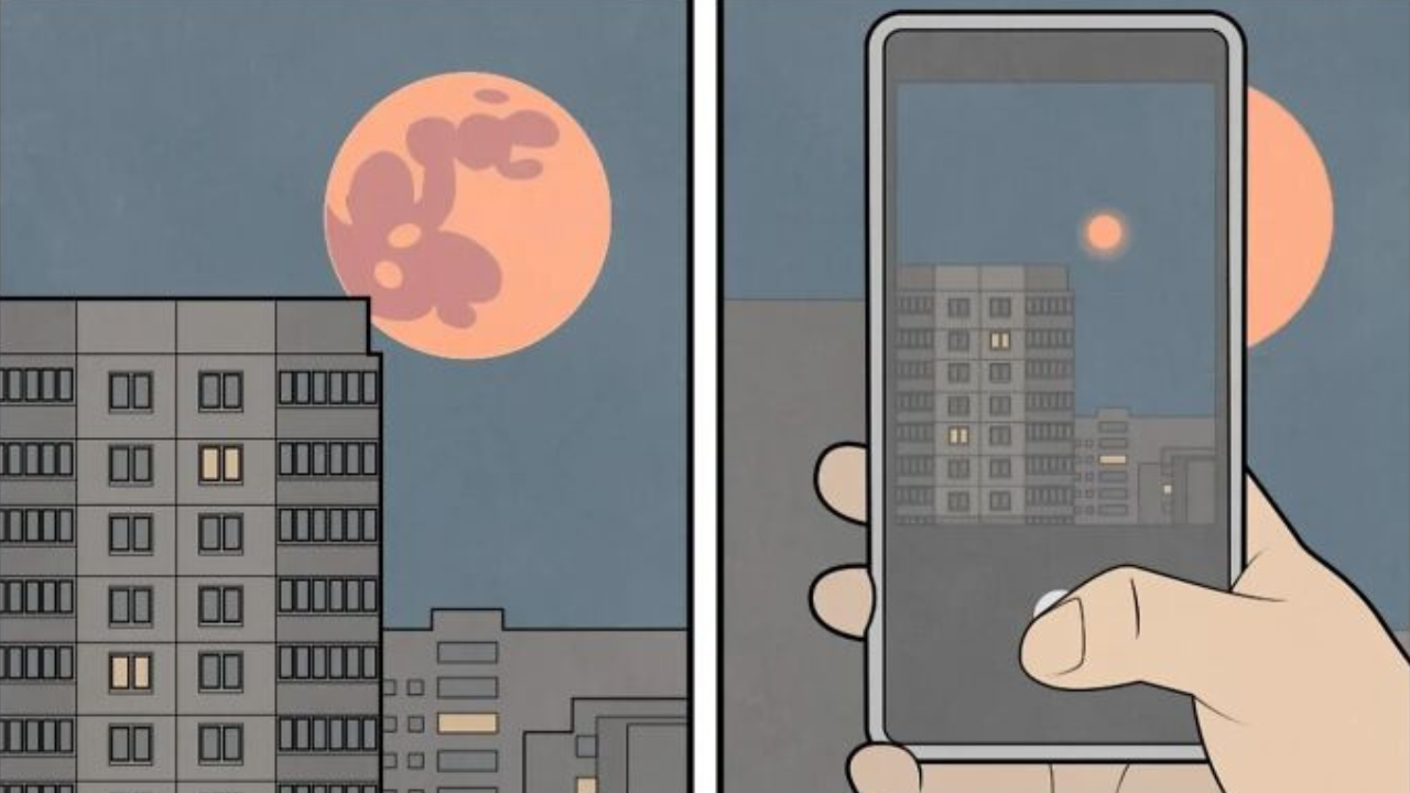 12 ironických ilustrácií z každodenného života