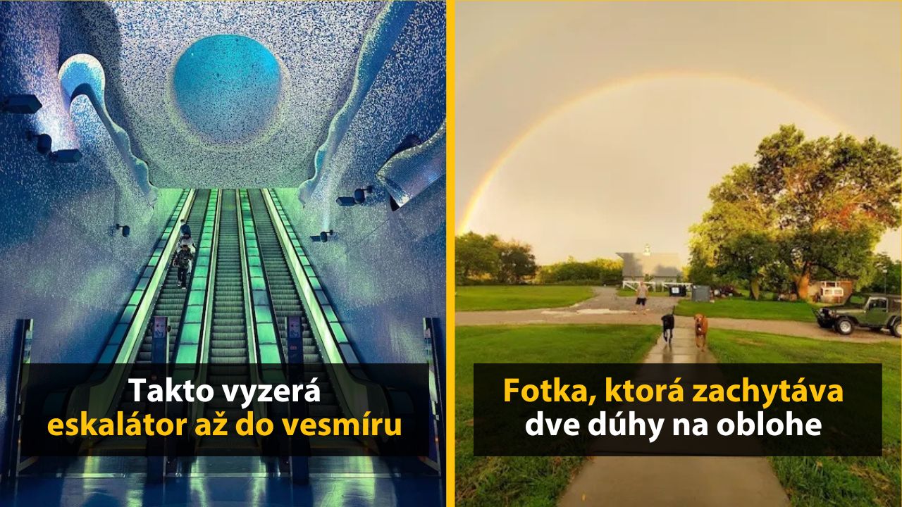 30+ Obrázkov, ktorými dokonale zabiješ čas #592 –  Autobus so šmykľavkou alebo žiletka pre skutočných chlapov