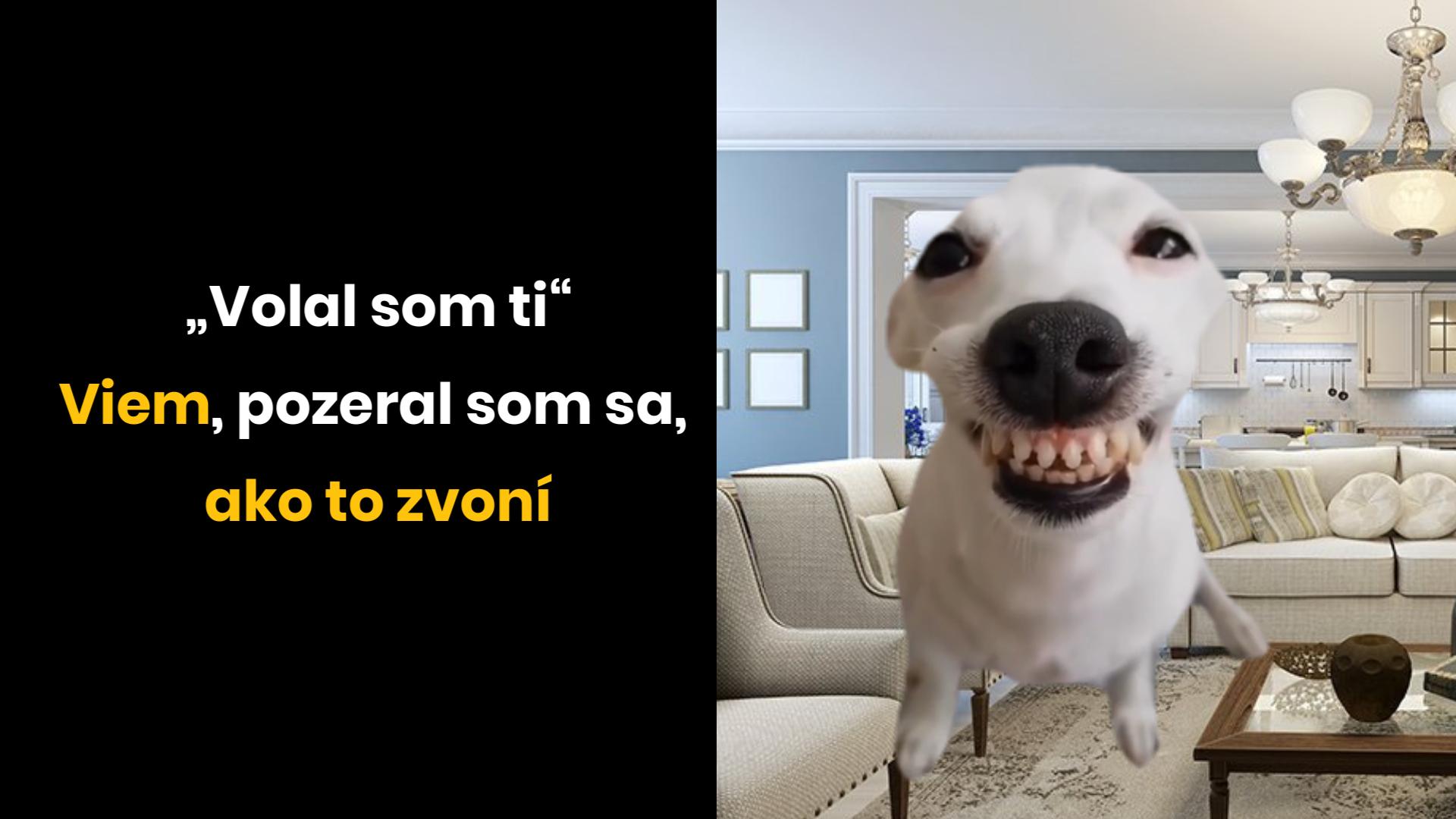 Ako sa vyhnúť rozhovorom