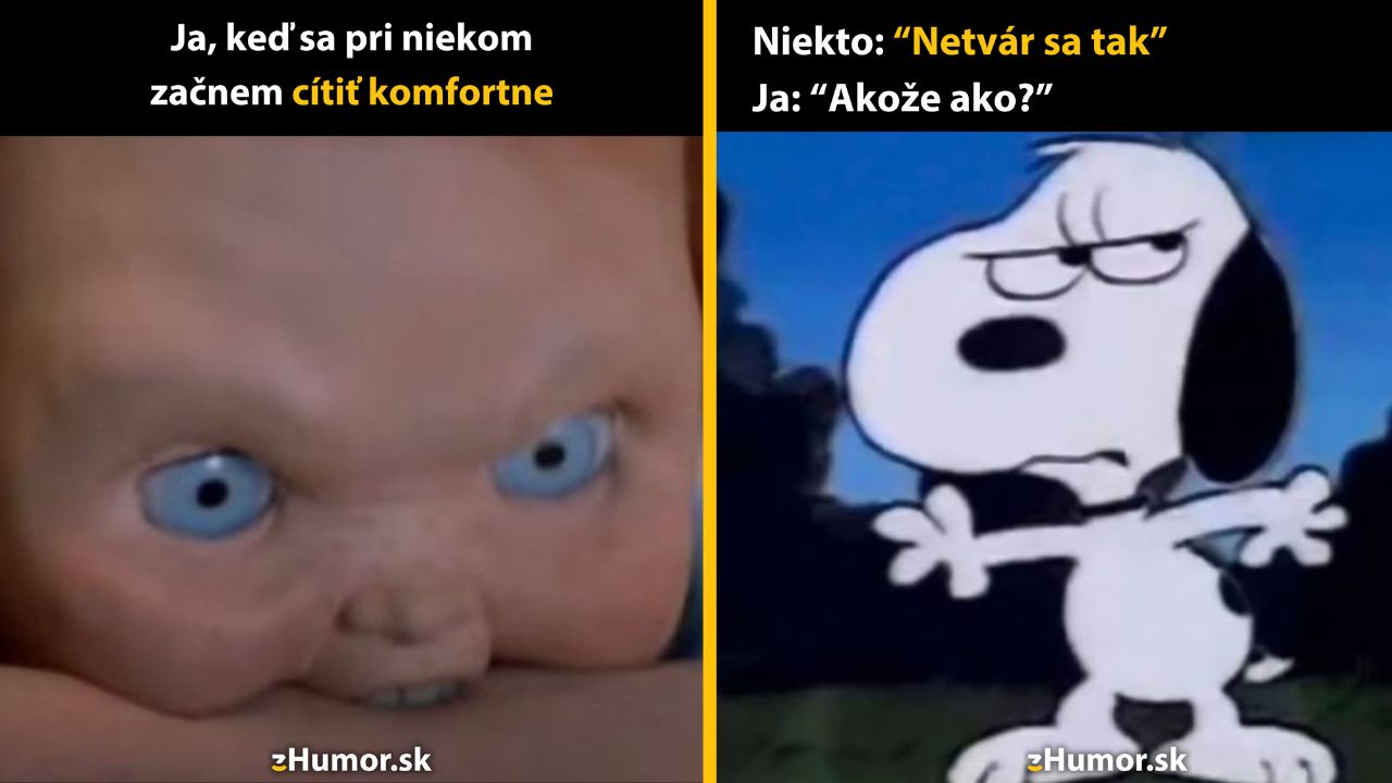 Zopár memečiek, ktoré vznikli, aby ti spríjemnili deň #1579: Zoznám sa s mojou pravou tvárou.