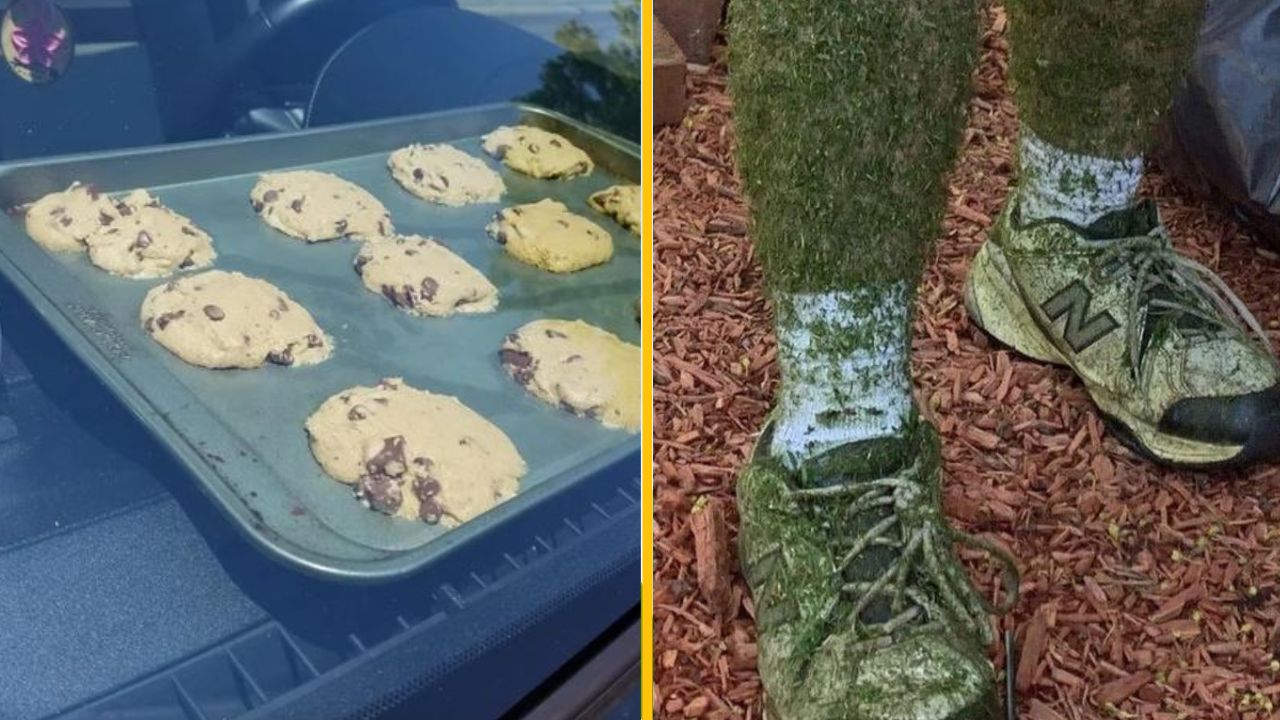 15+ fotografií, ktoré dokazujú, že letné horúčavy skrátka stoja za to