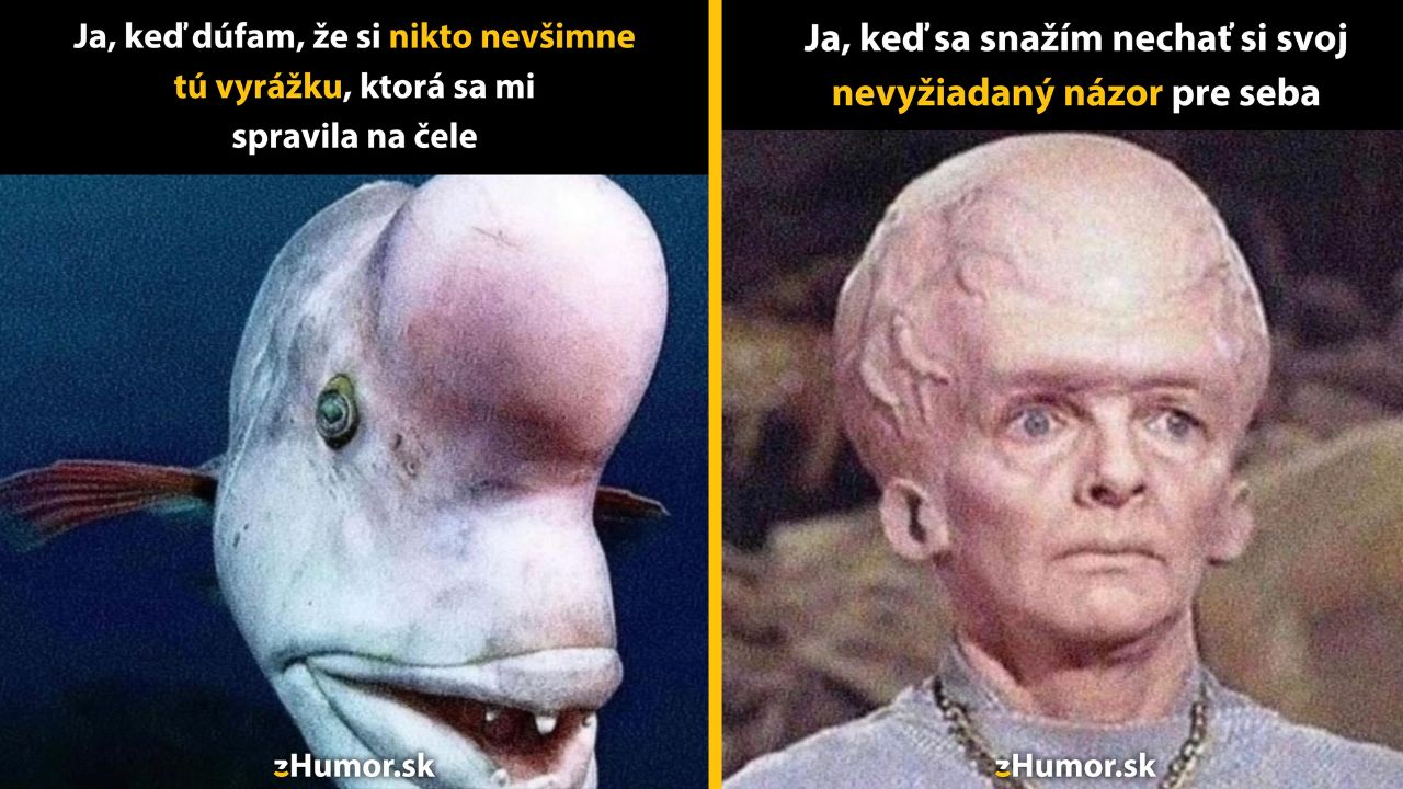 Zopár memečiek, ktoré vznikli, aby ti spríjemnili deň #1583: Stále by to mohlo byť aj horšie.