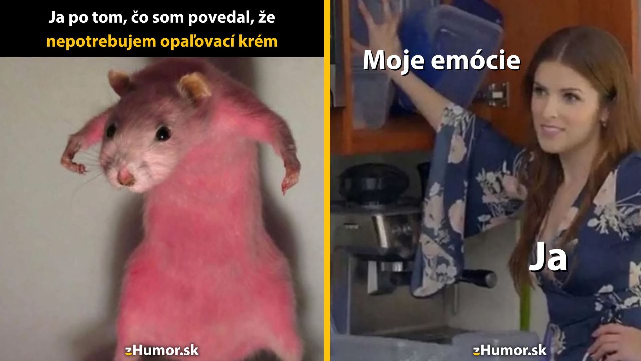 Zopár memečiek, ktoré vznikli, aby ti spríjemnili deň #1577: Myslíte si, že ja som nejaký slabý kus?