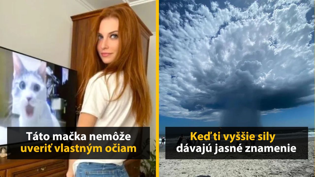 30+ Obrázkov, ktorými dokonale zabiješ čas #598 –Invázia mimozemšťanov alebo Kung Fu panda na dôchodku