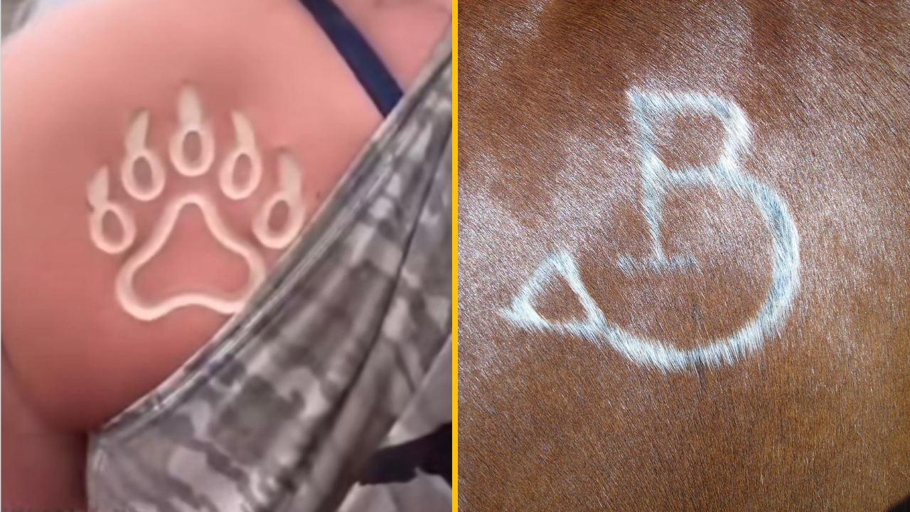 Lekári varujú pred novým trendom „zmrazovacieho tetovania“