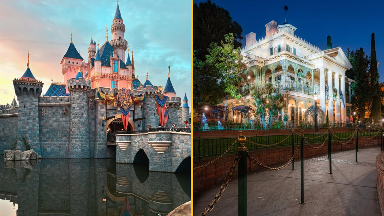 V tajnom výpredaji strát a nálezov v Disnelande ľudia stoja hodiny v rade na značkové okuliare či dizajnové kočíky