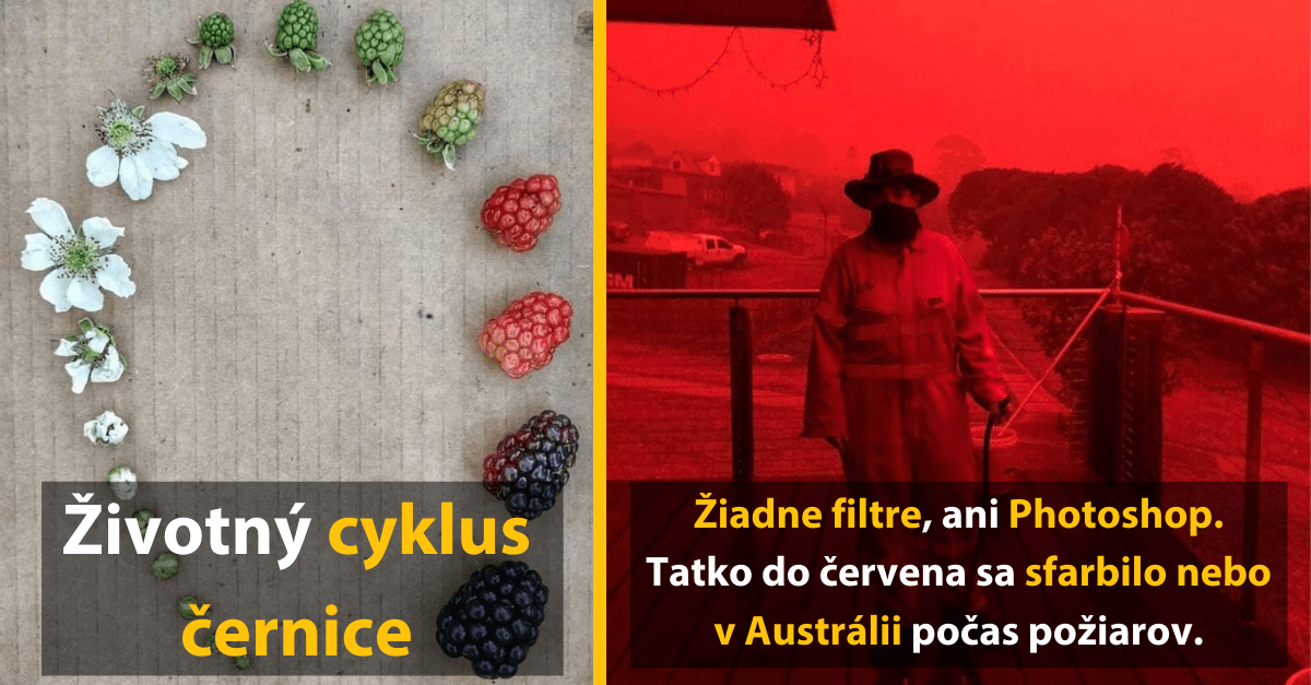 13 fascinujúcich fotografií, ktoré vás aj niečo naučia