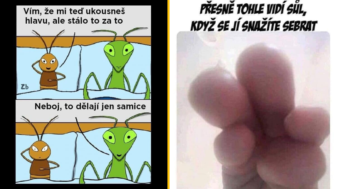 20+ Obrázkov: Všetko vtipné z internetu! #519 – Výstižné znamenie na oblohe ale aj najefektívnejšie pálenie kalórii