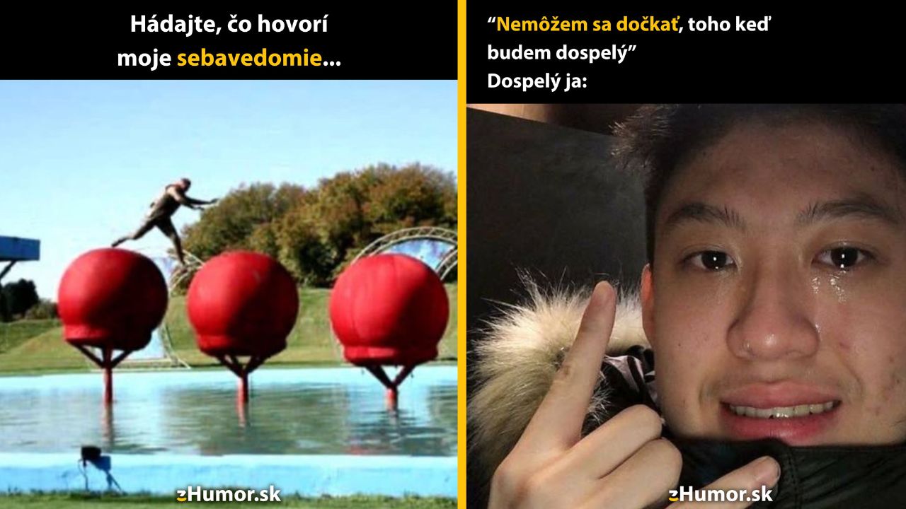 Zopár memečiek, ktoré vznikli, aby ti spríjemnili deň #1585: To čo robí? To by som dal ako nič.