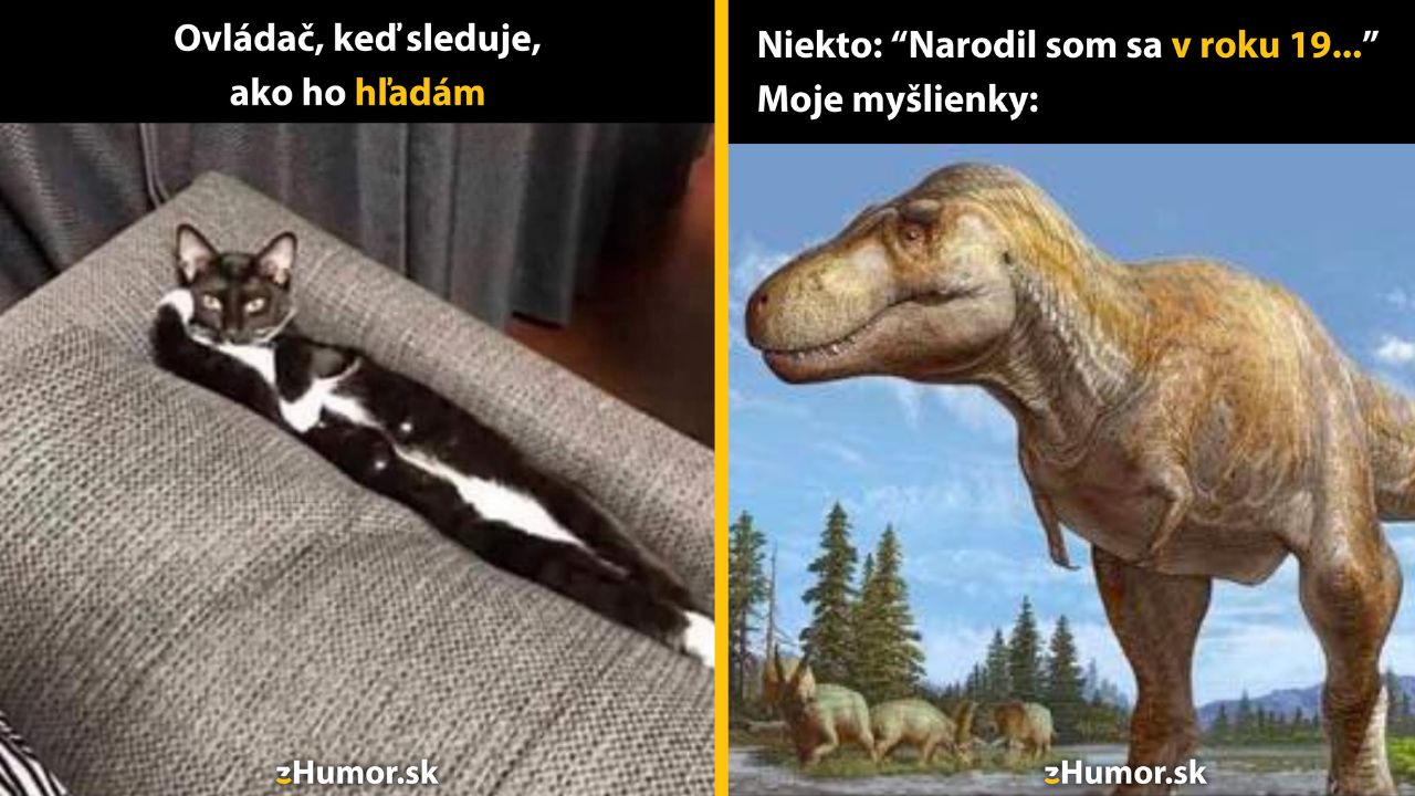 Zopár memečiek, ktoré vznikli, aby ti spríjemnili deň #1580: Prisahal by som, že pred chvíľou tu nebol.