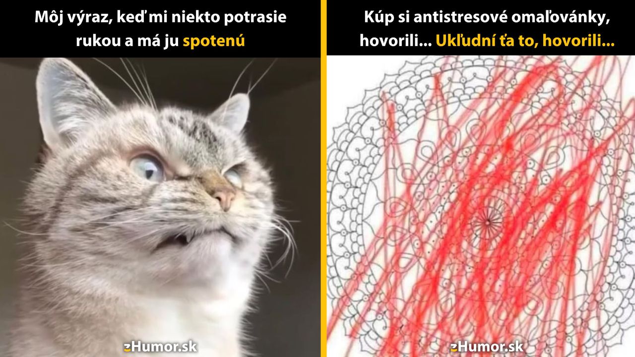Zopár memečiek, ktoré vznikli, aby ti spríjemnili deň #1581: Čo som komu urobil?