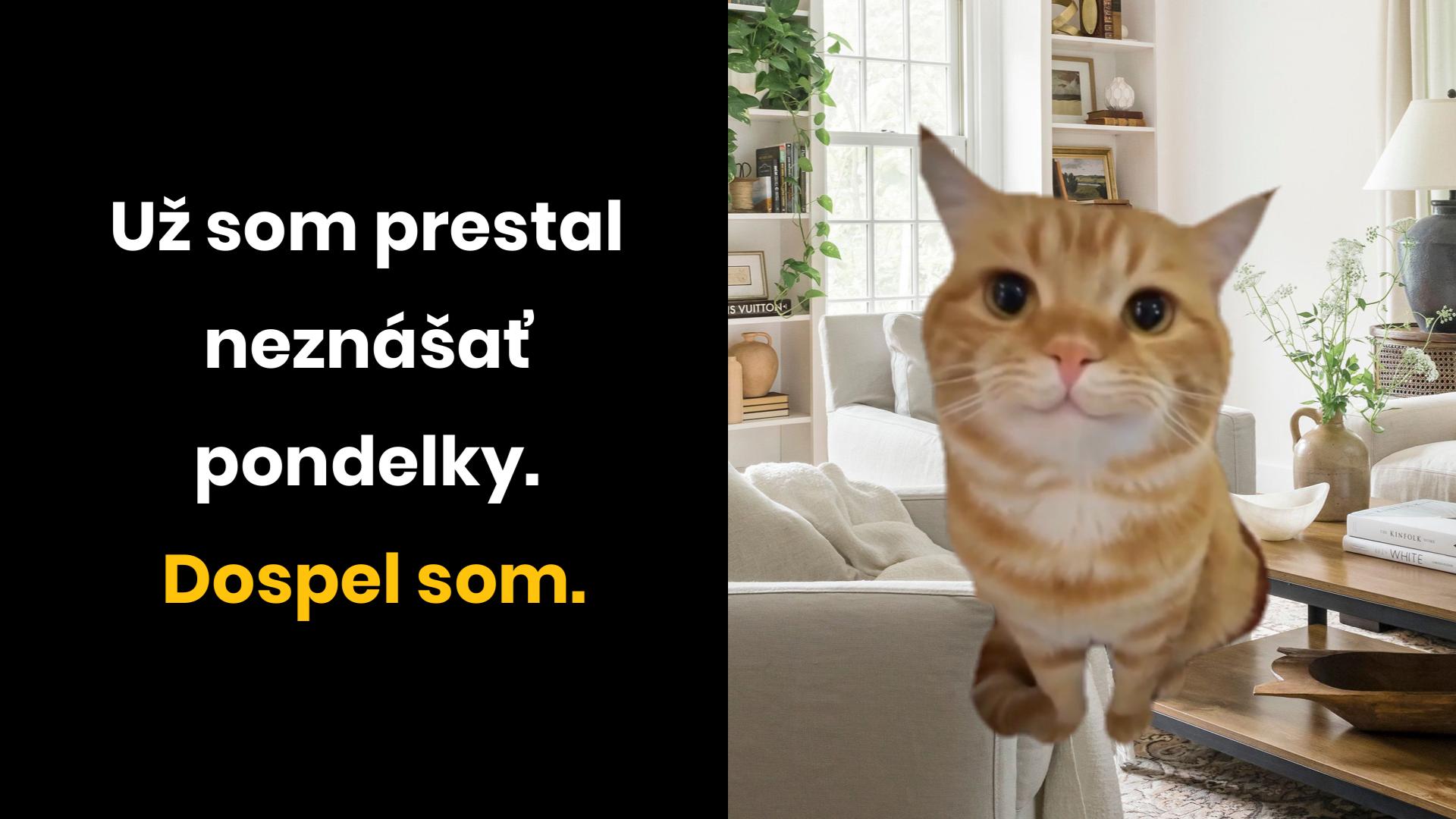 Tomu sa hovorí dospelosť