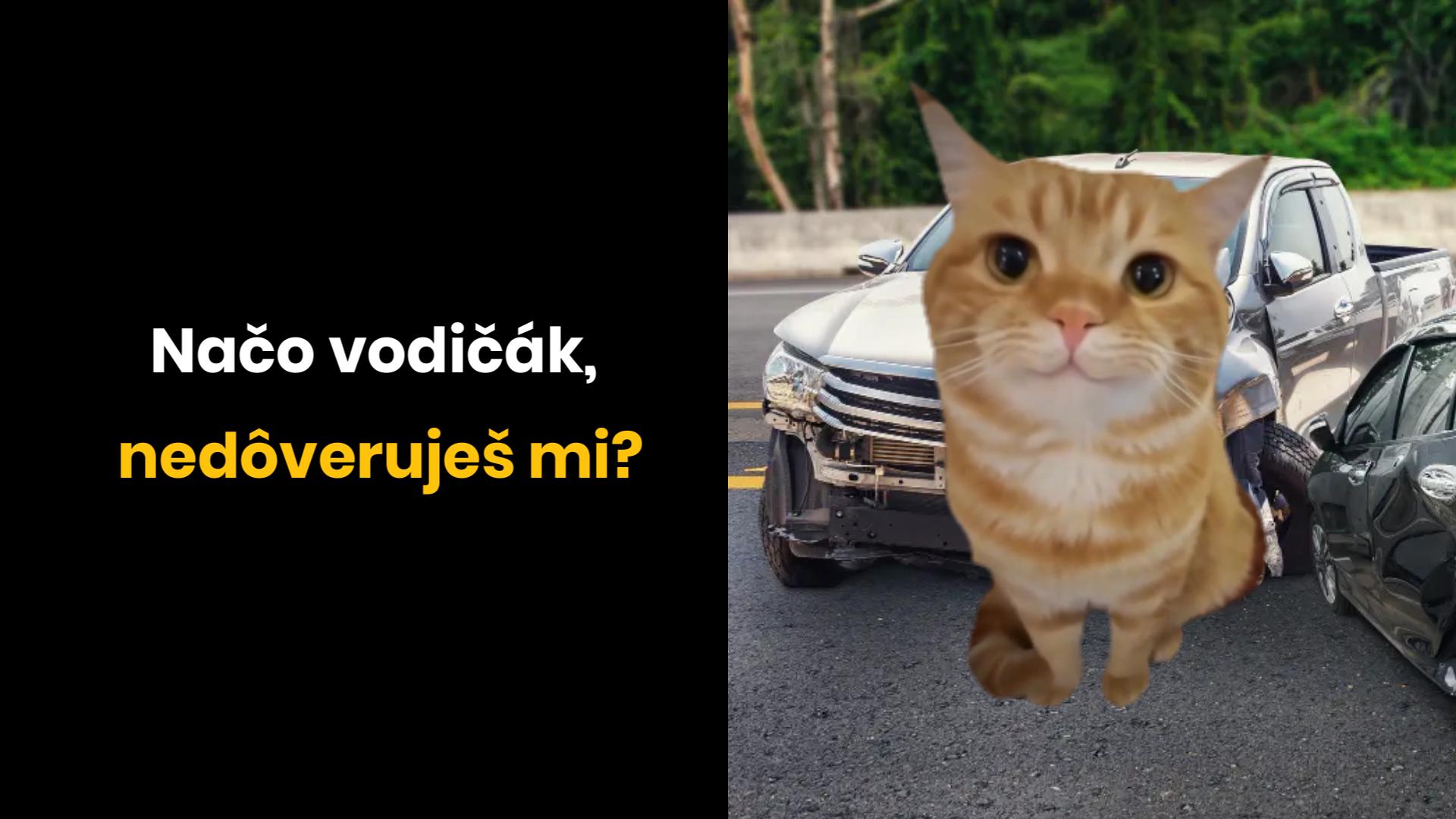 Priateľom treba dôverovať