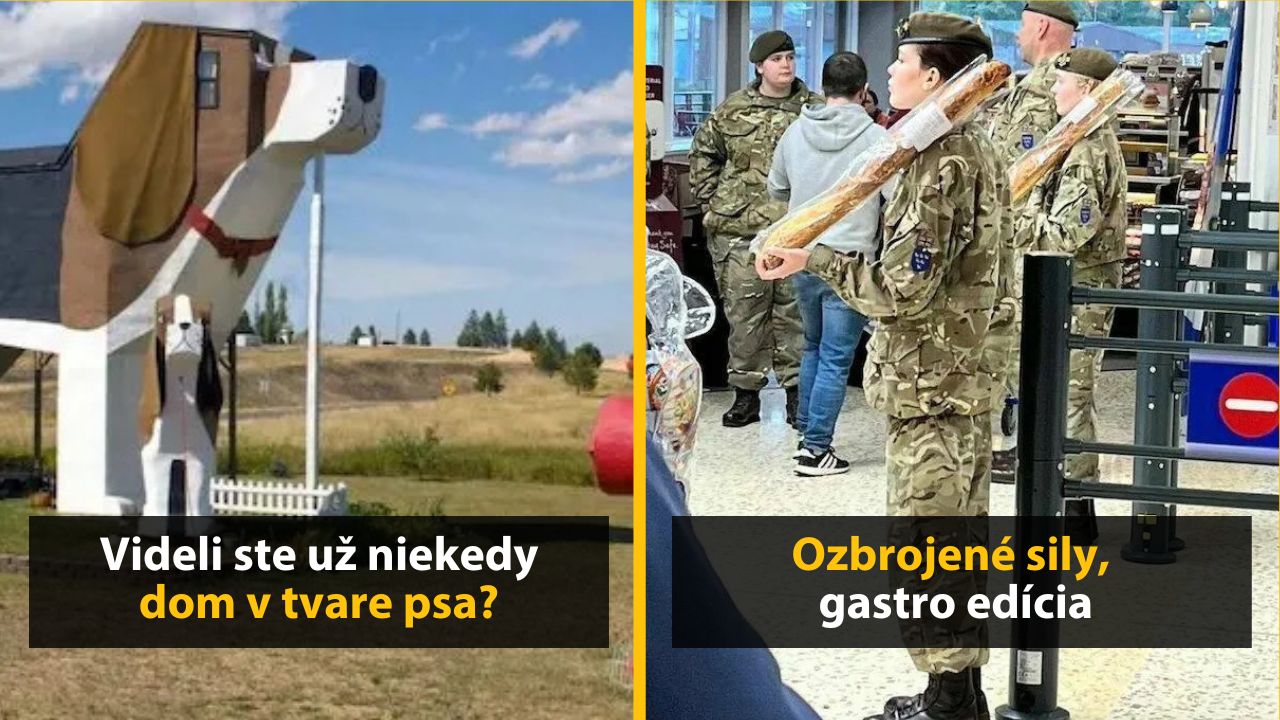 30+ Obrázkov, ktorými dokonale zabiješ čas #594 –  Dom v tvare psa alebo Ozbrojené sily, gastro edícia