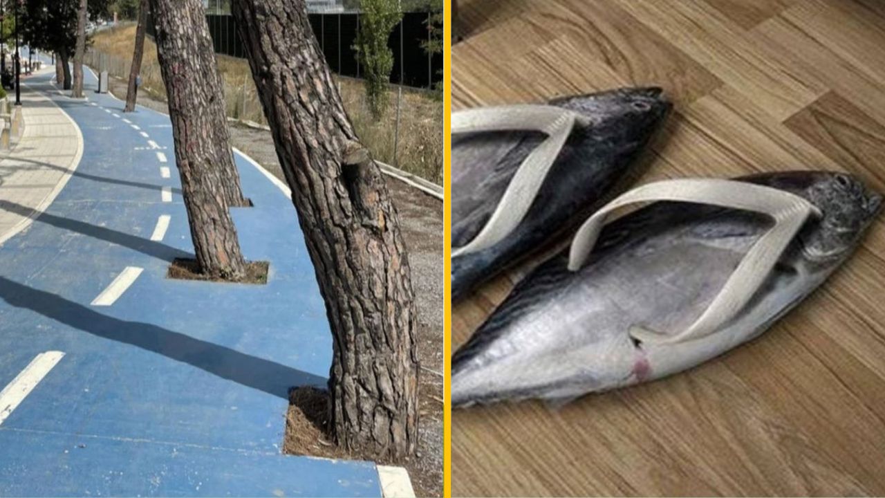 15+ prípadov, keď nás dizajnéri nechali úplne zmätených