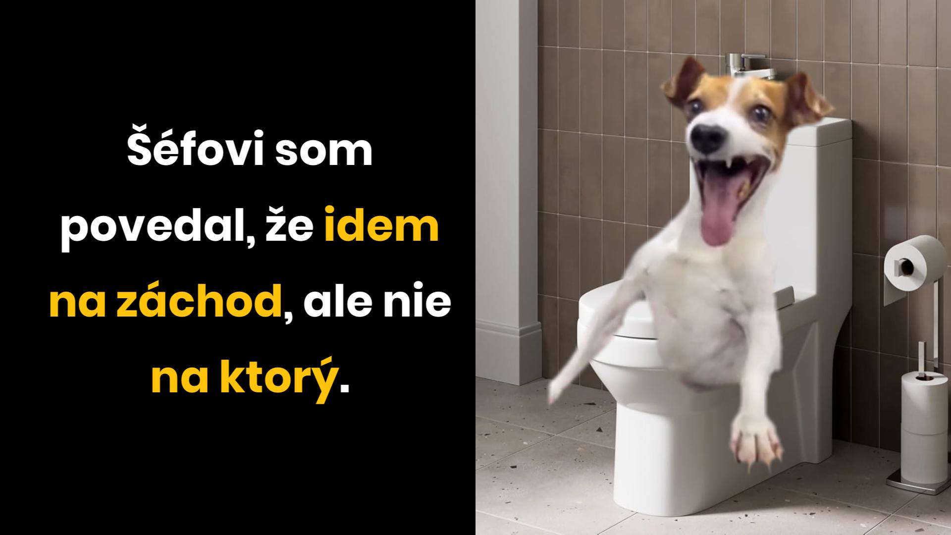 Ako vybabrať so šéfom