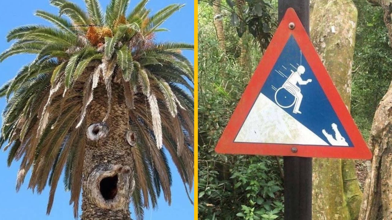 10 fotiek najzbytočnejších vecí na svete, ktoré vás zrejme pobavia #13