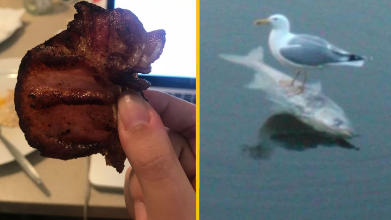 20 neuveriteľných náhod, ktoré sú príliš dokonalé na to, aby boli pravdivé