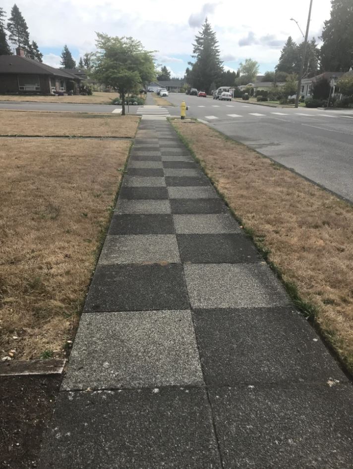 Chodník z betónových dlaždíc vedúci cez suchý trávnik v tichej rezidenčnej štvrti s domami a stromami.