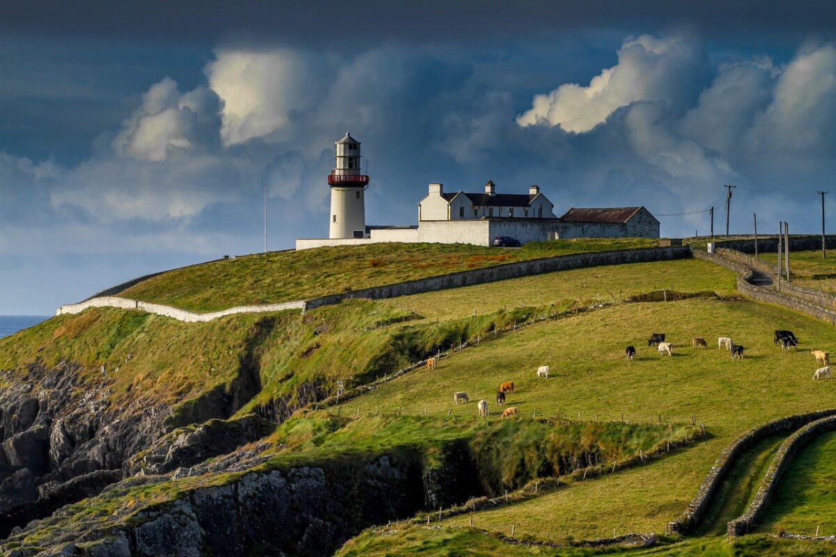 lighthouse, ireland, galley head, view, cows, sky, nature, dramatic