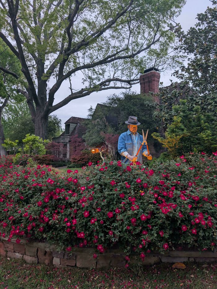 Socha záhradníka strihajúceho kvety v záhrade pred domom, obklopená červenými kvetmi a zeleňou.