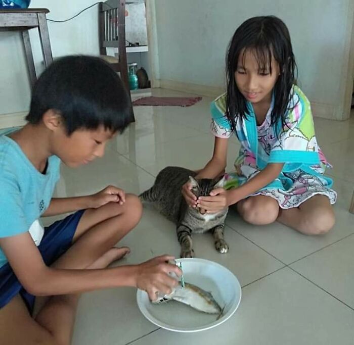 Deti kŕmia mačku rybou na tanieri v izbe, mačka je medzi nimi a vyzerá spokojne.