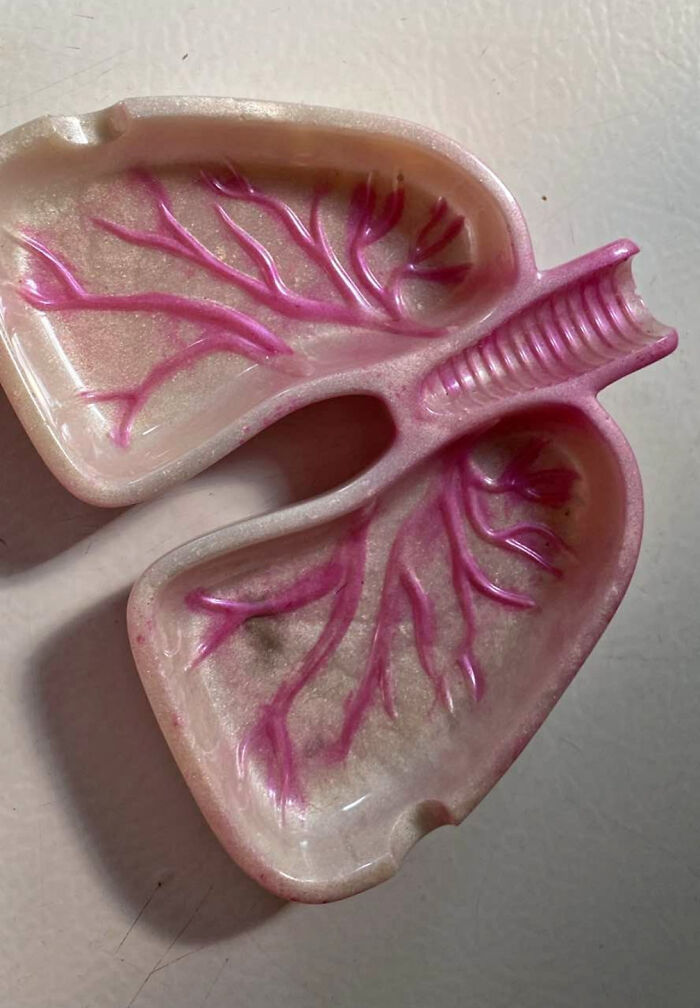 Plastový popolník v tvare pľúc s ružovými žilkami na bielom pozadí.