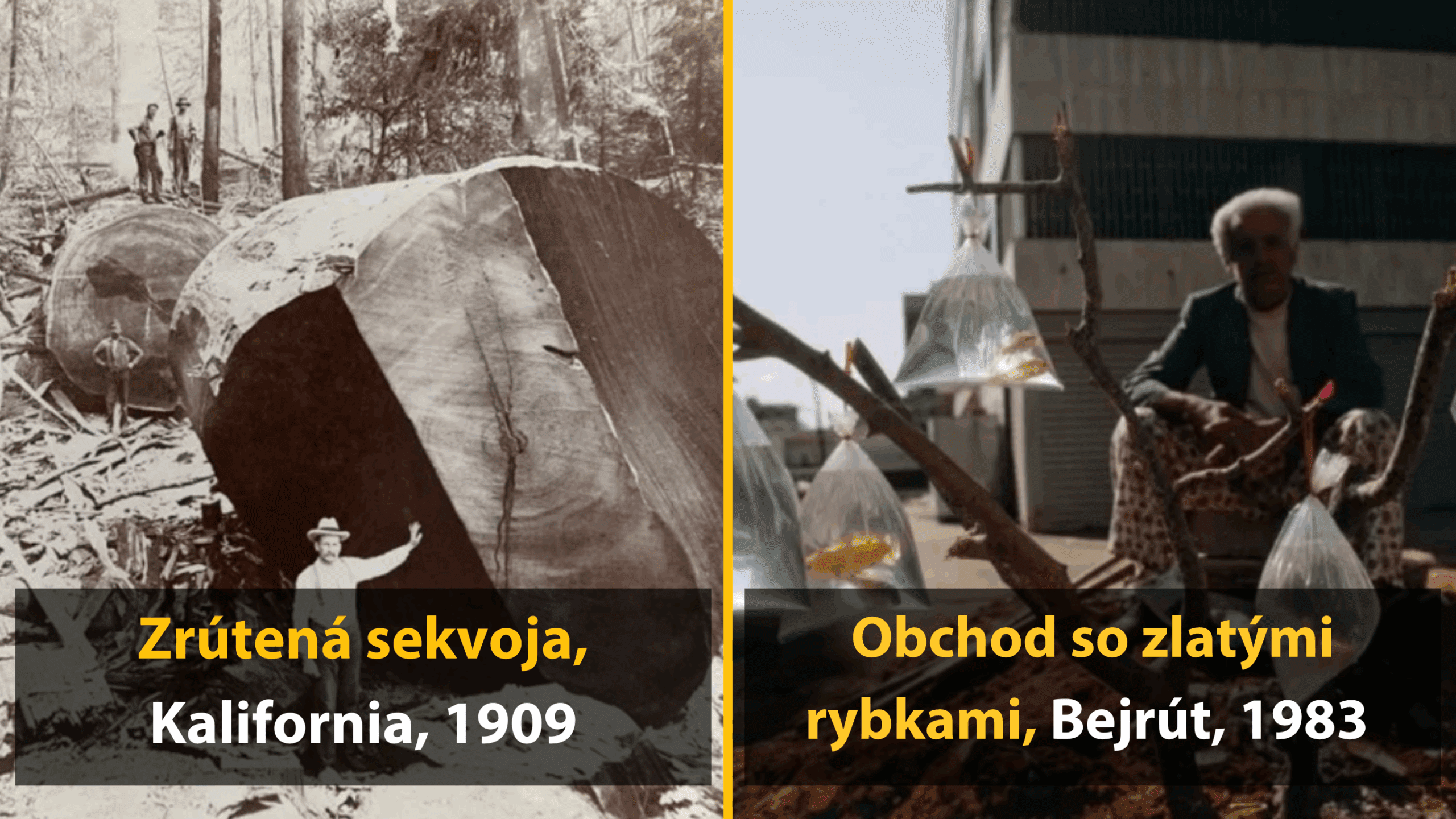 Úchvatný fotoarchív 20. storočia – 4. časť