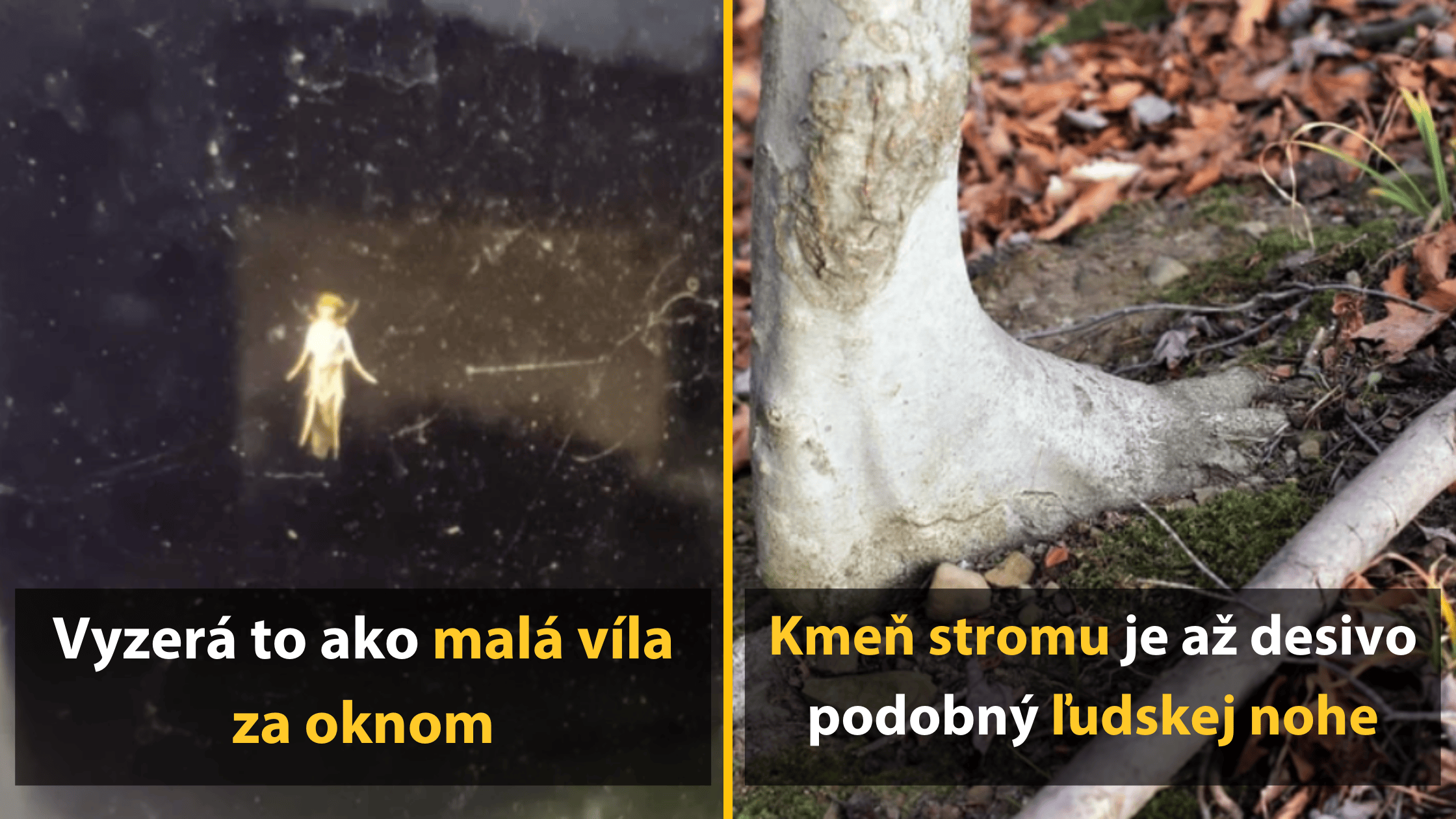 10 fotiek, ktoré vám na sekundu popletú hlavu