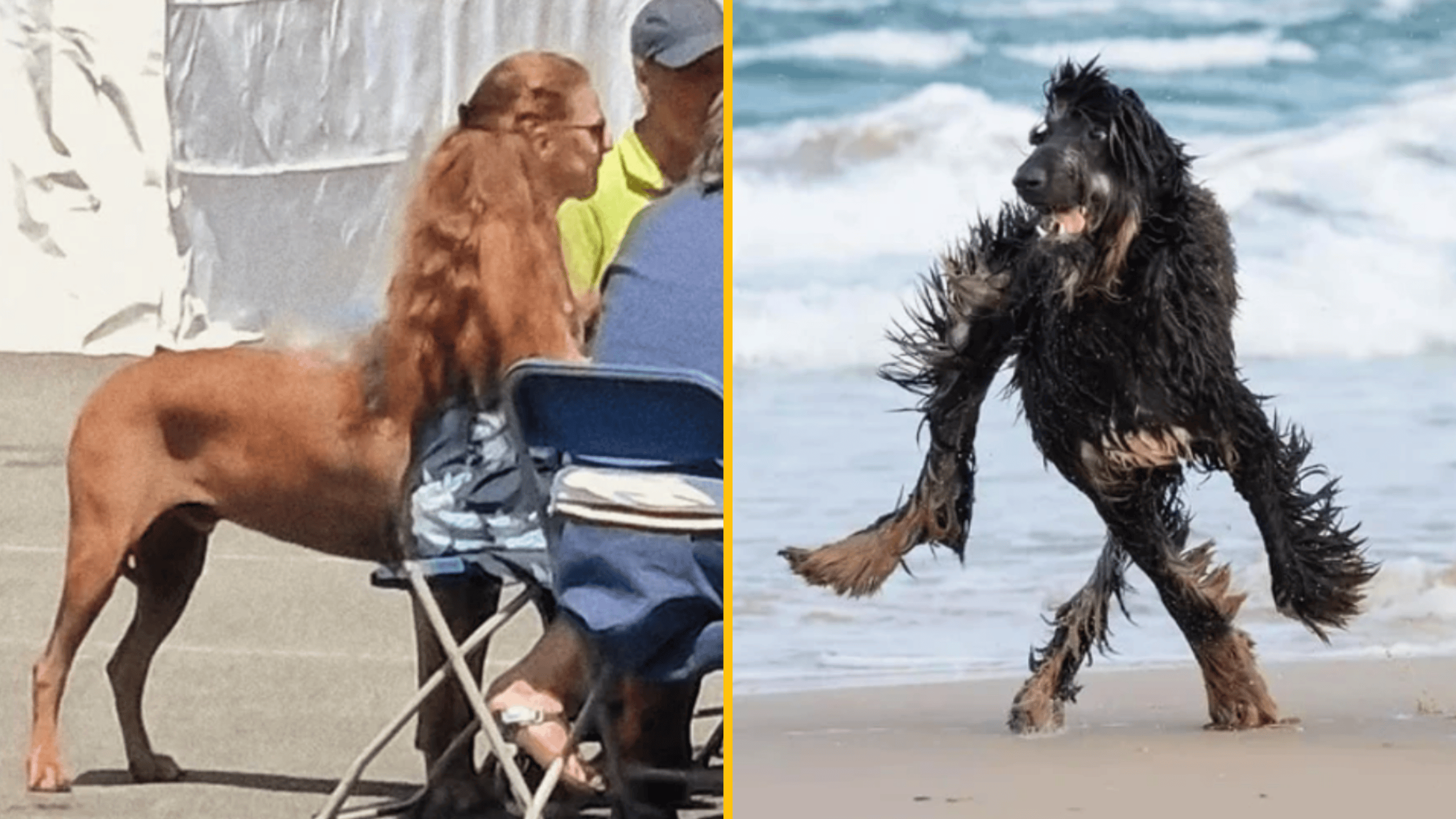 10 fotiek, ktoré vám na sekundu zavaria mozog – 1. časť