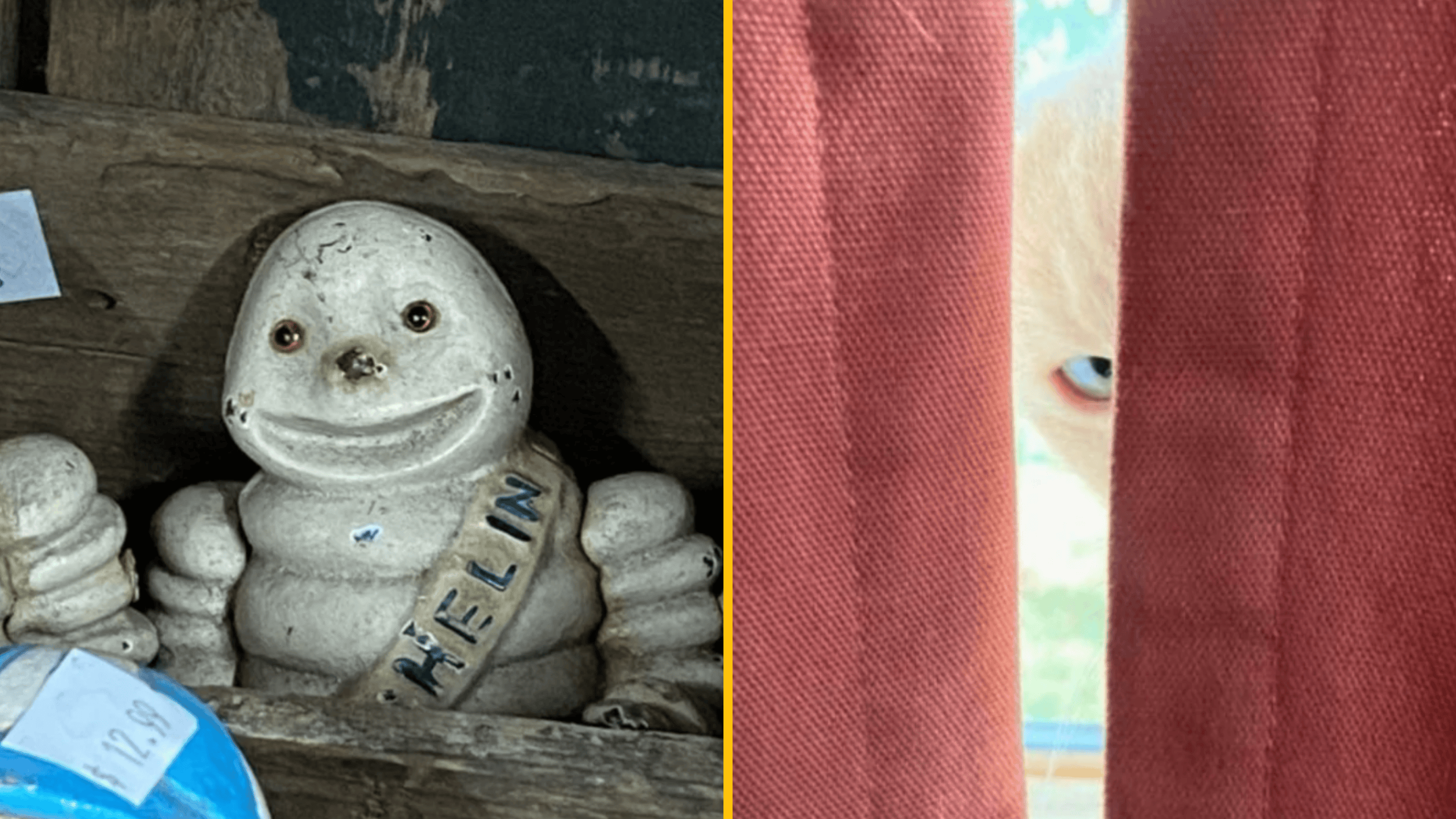 10+ fotografií, ktoré vás na prvý pohľad vydesia