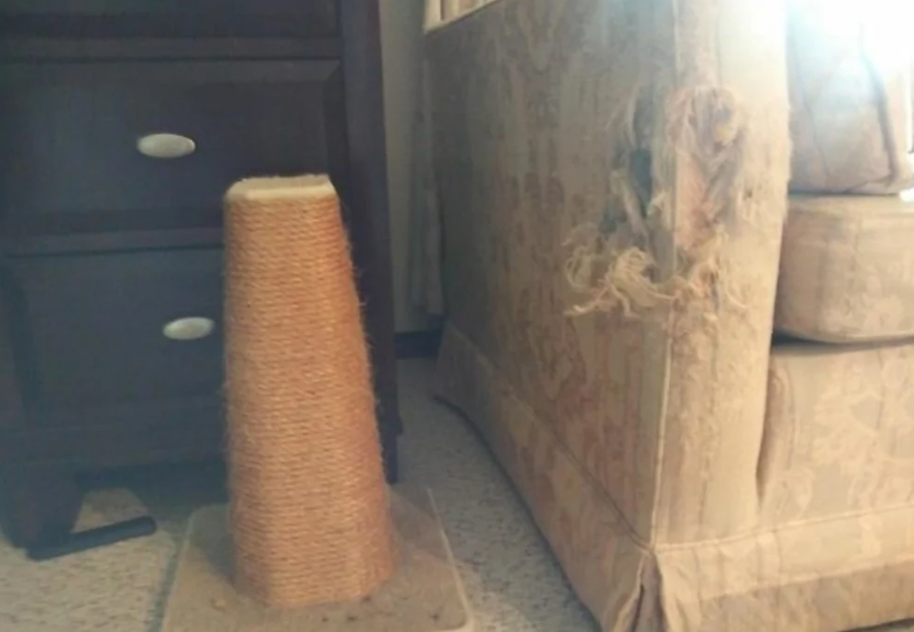 Škrabadlo pre mačky vedľa poškodeného gauča v obývačke.