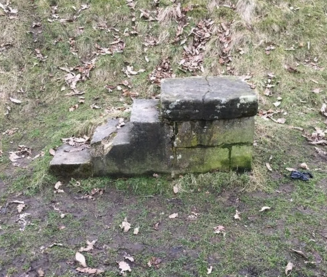 Kamenné schodisko v prírode pokryté machom, obklopené trávou a jesennými listami.