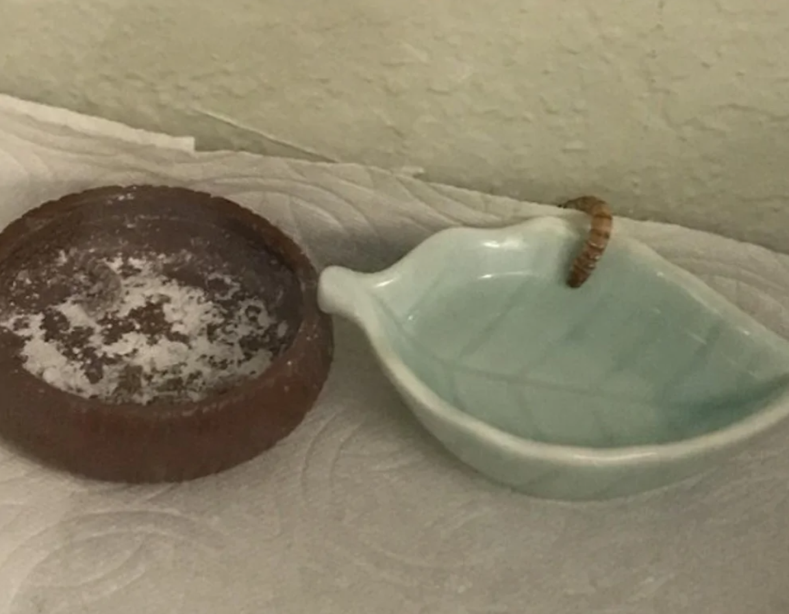 Keramická miska v tvare listu s červíkom vedľa prázdnej tmavej misky.