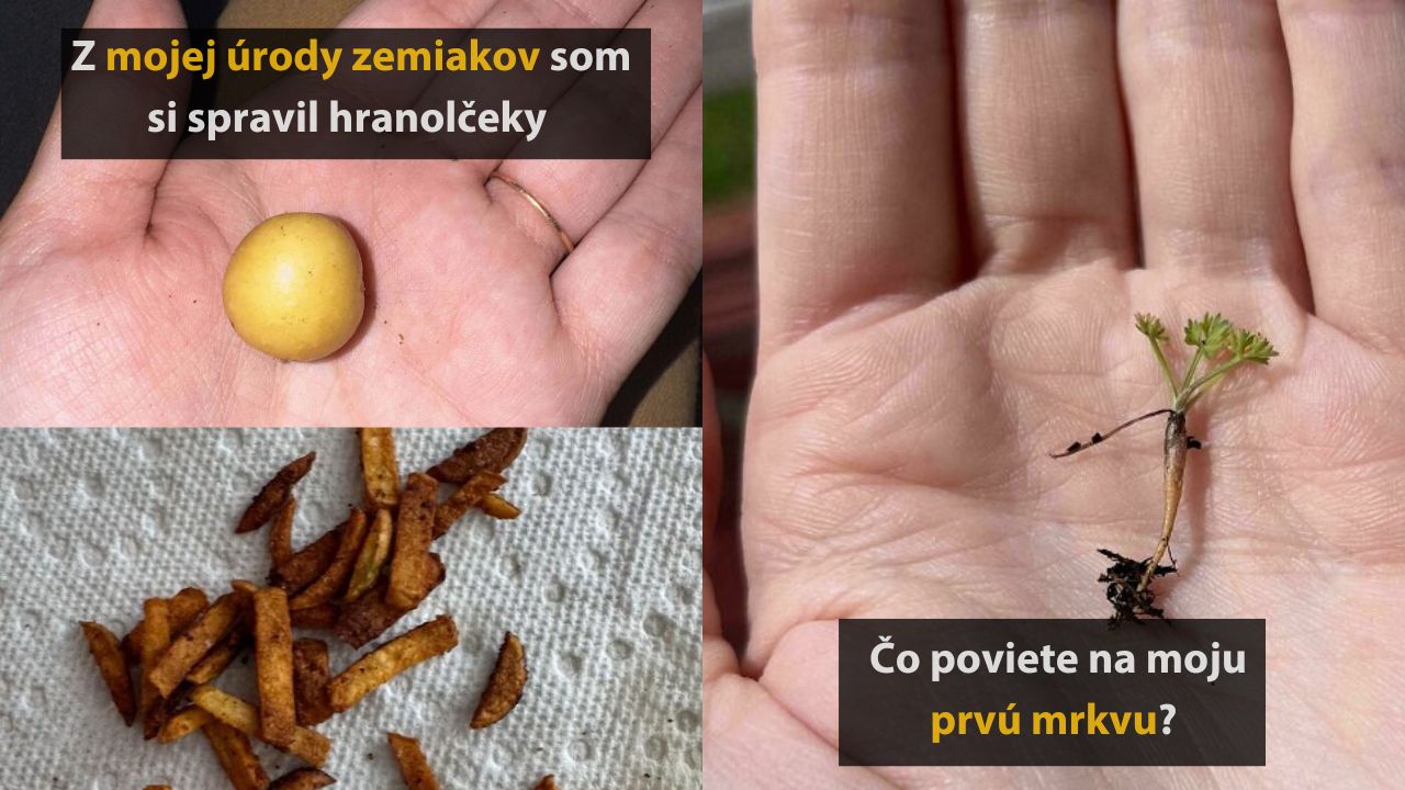 10 ľudí, ktorí sa pokúšali o pestovanie, no nedopadlo to podľa ich predstáv, 1.časť