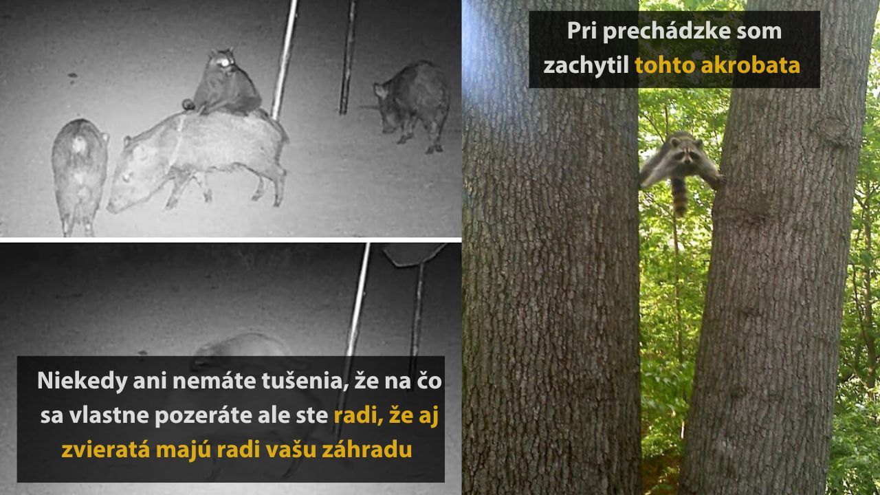 Veselé fotografie z prírody, ktoré vám vyčaria úsmev na tvári, 2.časť