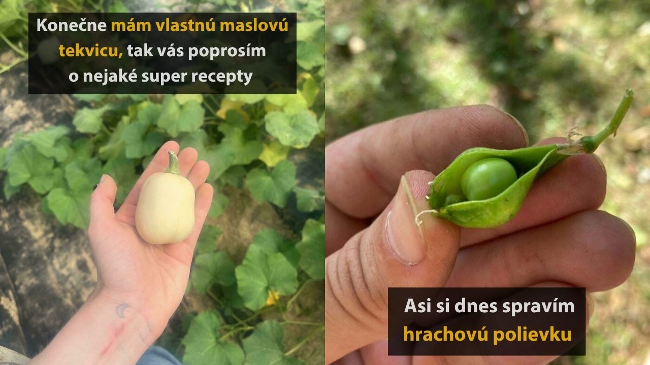 10 ľudí, ktorí sa pokúšali o pestovanie, no nedopadlo to podľa ich predstáv, 2.časť