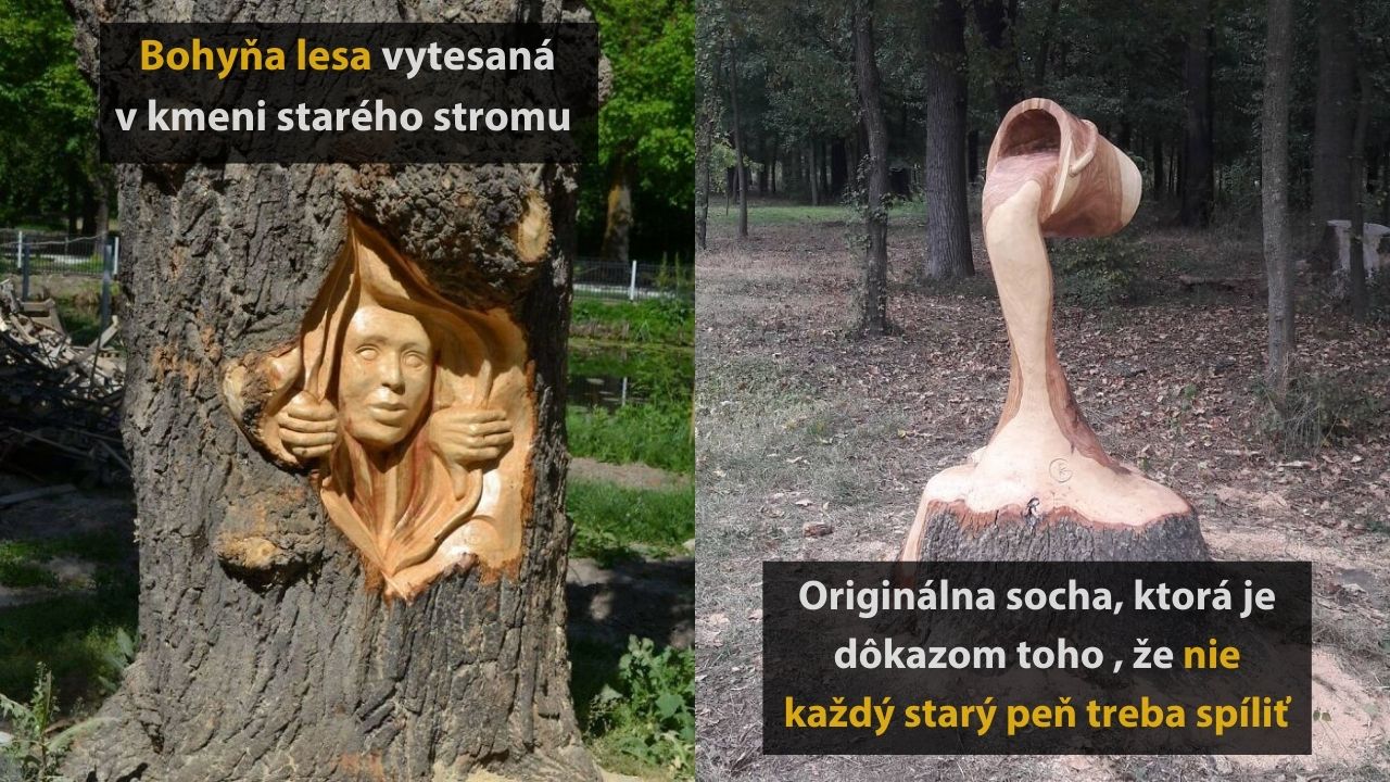 10 fotografií od umelca, ktorý premieňa drevo na umelecké diela, 1.časť