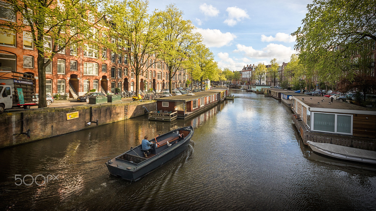 Mesto Amsterdam postavilo niečo, čo nikto nečakal. Dôvodom sú mačky