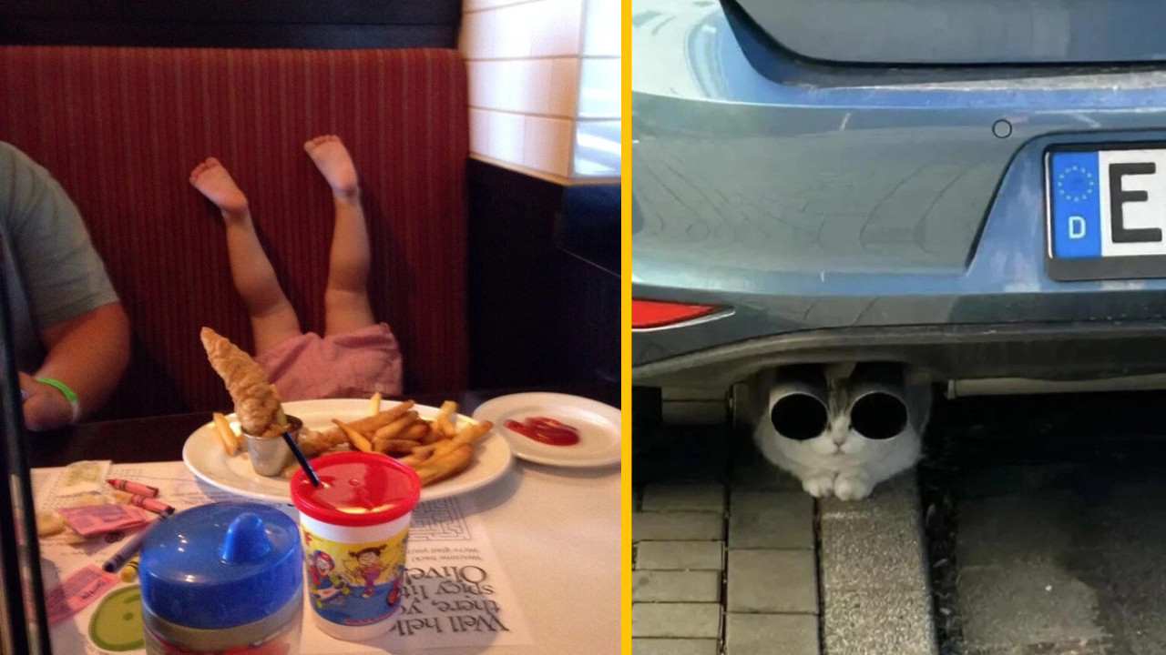 10 používateľov Redditu a ich vtipných životných situácií