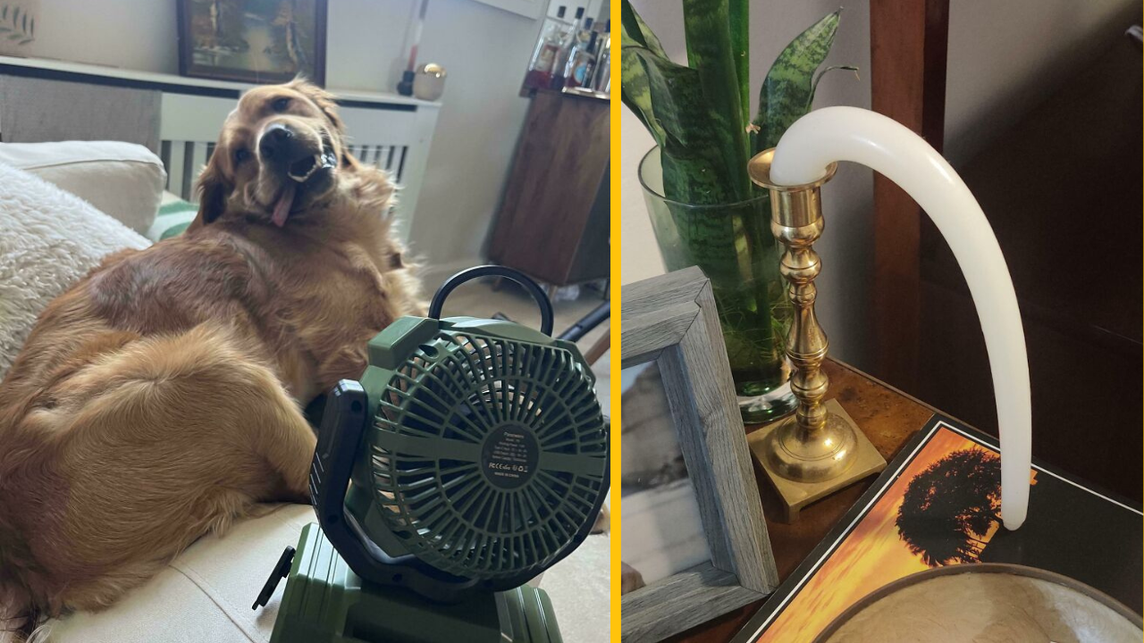 13 fotiek, ktoré zachytávajú život počas horúčav