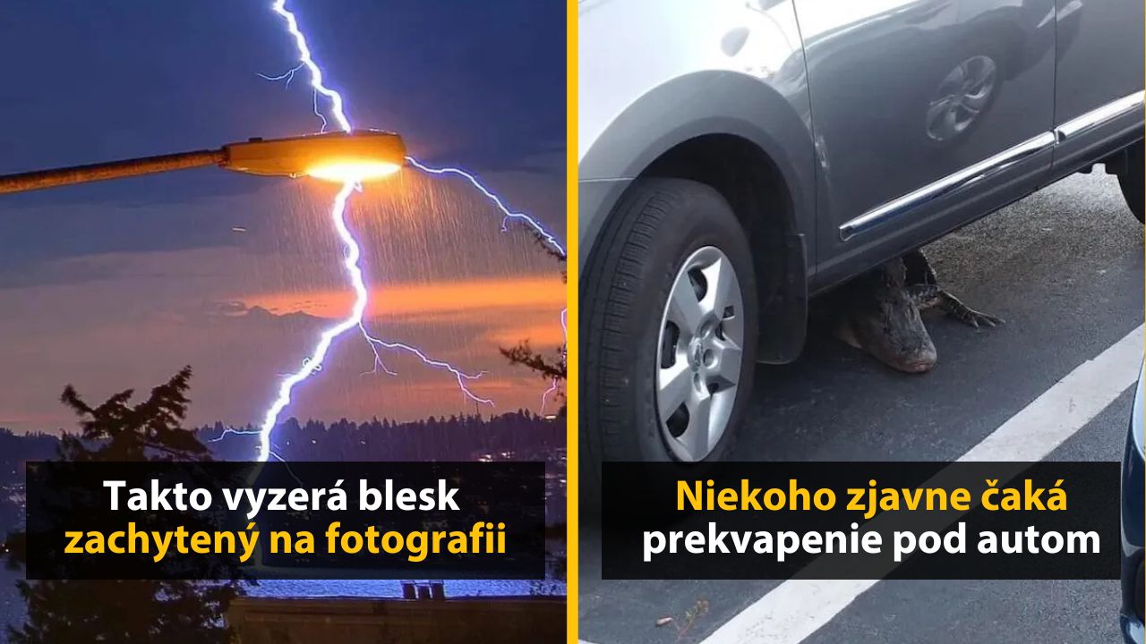 30+ Obrázkov, ktorými dokonale zabiješ čas #601 – Toaletný papier v kasíne alebo  dvojmetrová pizza