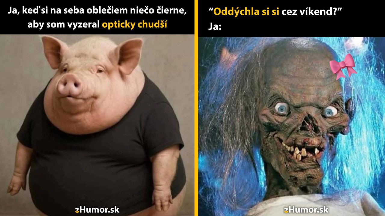 Zopár memečiek, ktoré vznikli, aby ti spríjemnili deň #1589: Aspoň sa tvárme, že to funguje.